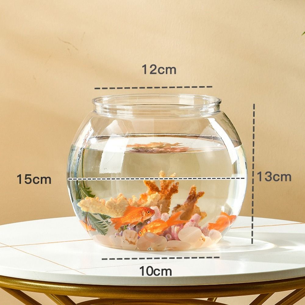 Aquarium Fish In Bowl - Aquário de mesa transparente e redondo
