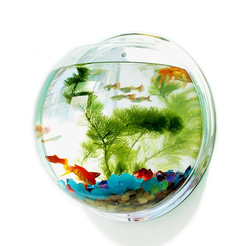 Aquarium Fish In Bowl - Pinsjar acrílico tigela de peixes parede