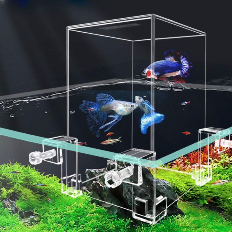 Aquarium Fish In Bowl - Aquário de pressão negativa para peixes