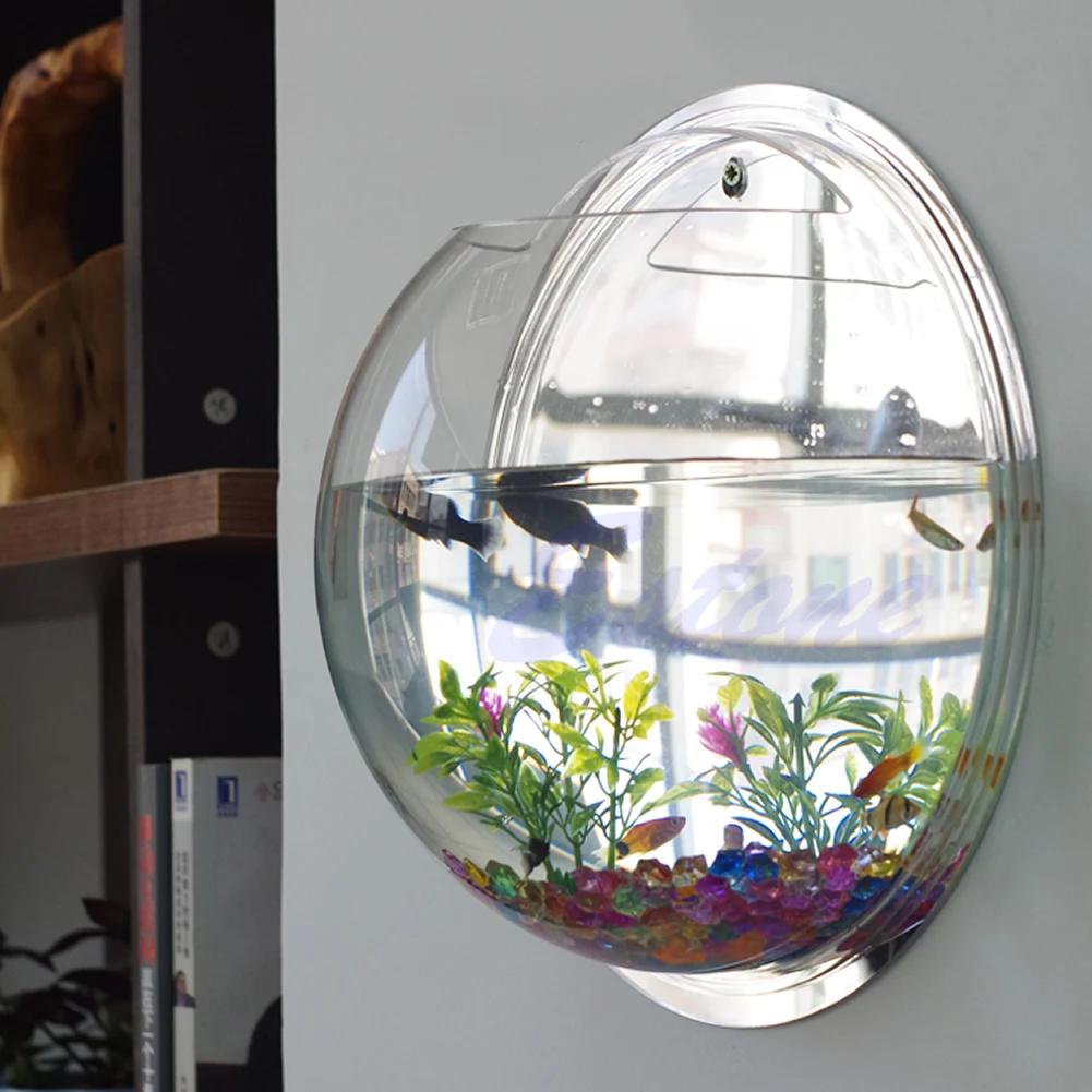 Aquarium Fish In Bowl - Pote parede pendurado montagem bolha aquário