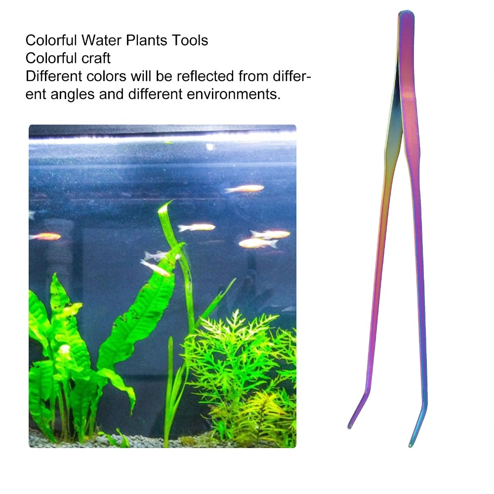 Aquarium Fish Rainbow - Pinça de Aço Inoxidável para Aquário,