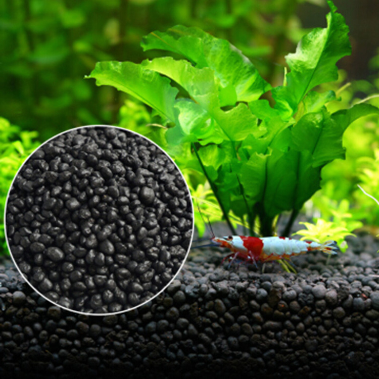 Aquarium Fish Gallery - Solo para plantas do tanque de