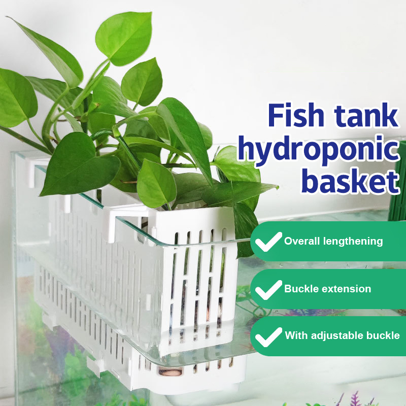 Aquarium Fish Gallery - 【F】Suporte Suspenso para Plantas Aquáticas em