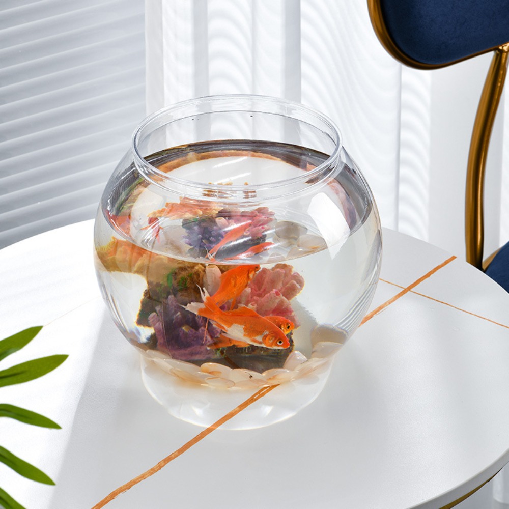 Aquário de mesa transparente e - Aquarium Fish In Bowl avaliação e preço