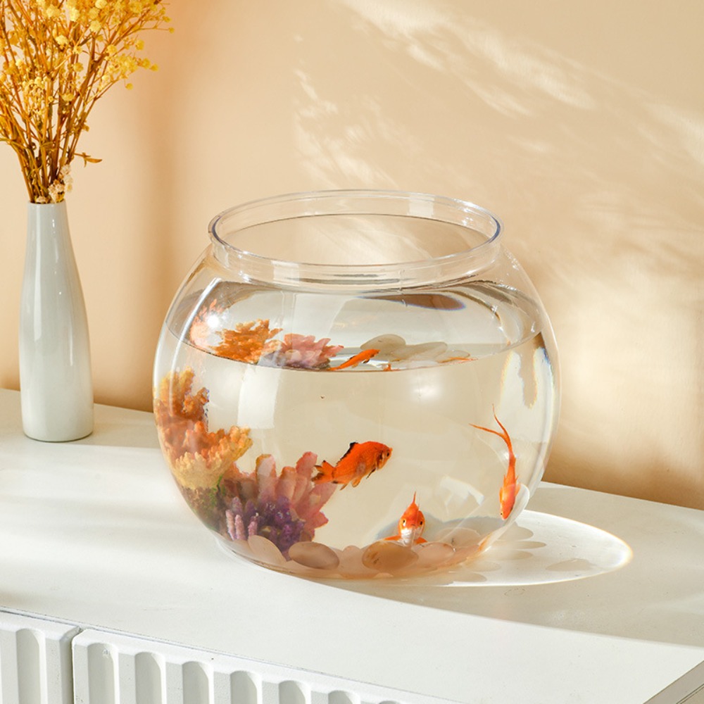 Aquário de mesa transparente e - Aquarium Fish In Bowl avaliação e preço