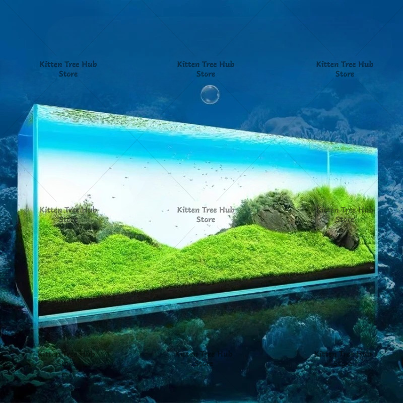 Placa de Fundo para Aquário co - Aquarium Fish Rainbow avaliação e preço