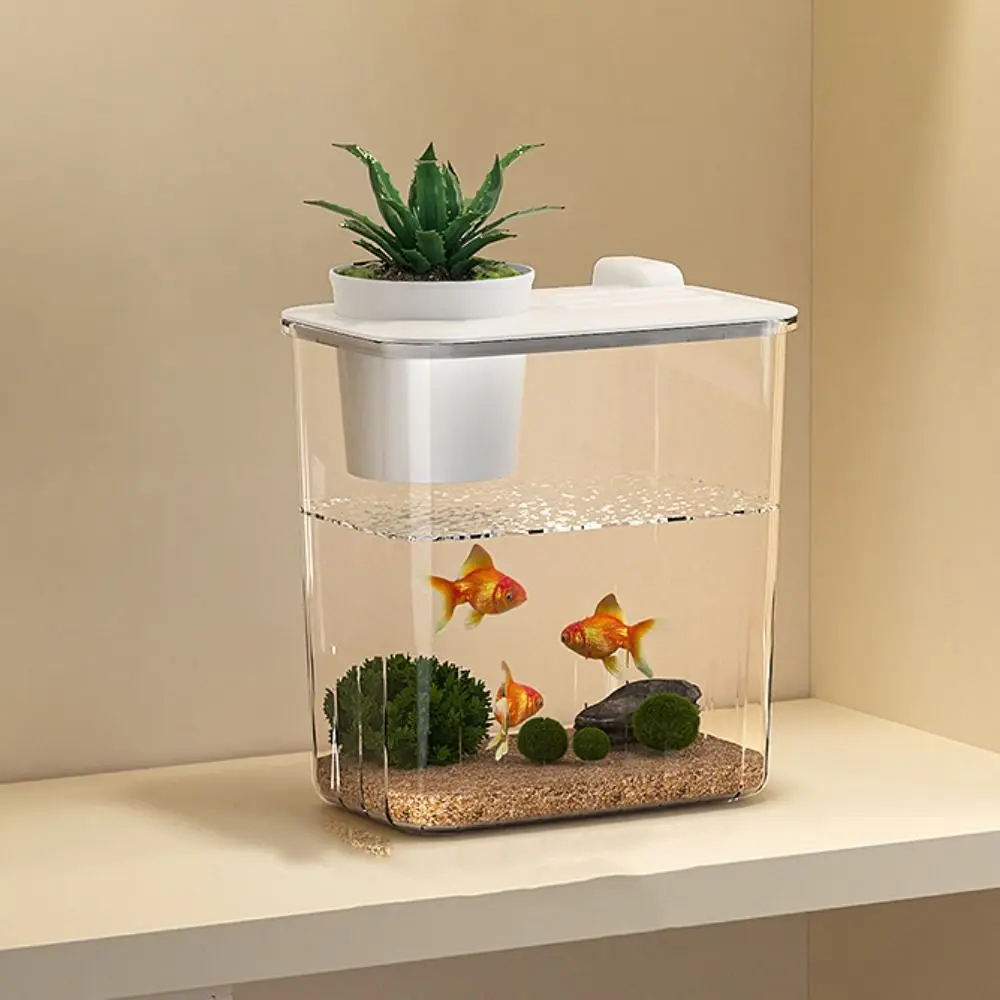 Aquário de Mesa com Bomba de Á - Aquarium Fish In Bowl avaliação e preço