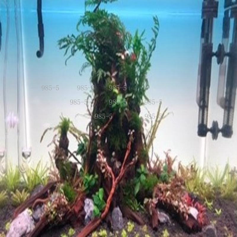 Placa de Fundo Acrílica Lumino - Aquarium Fish Rainbow avaliação e preço