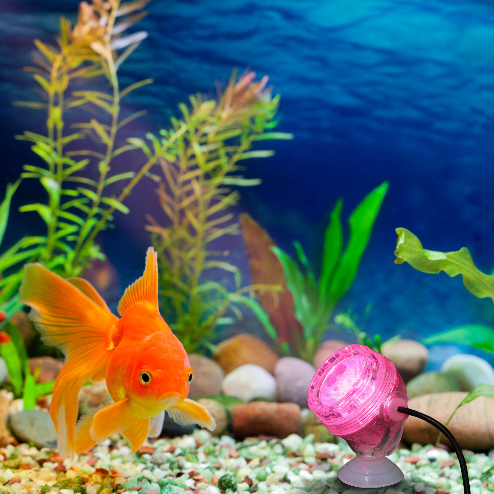 Luz LED para aquário, à prova  - Aquarium Fish Rainbow avaliação e preço