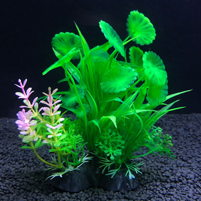 Decoração de aquário uma varie - Aquarium Fish Variety avaliação e preço