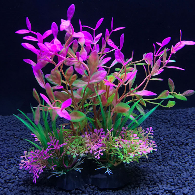 Decoração de aquário uma varie - Aquarium Fish Variety avaliação e preço