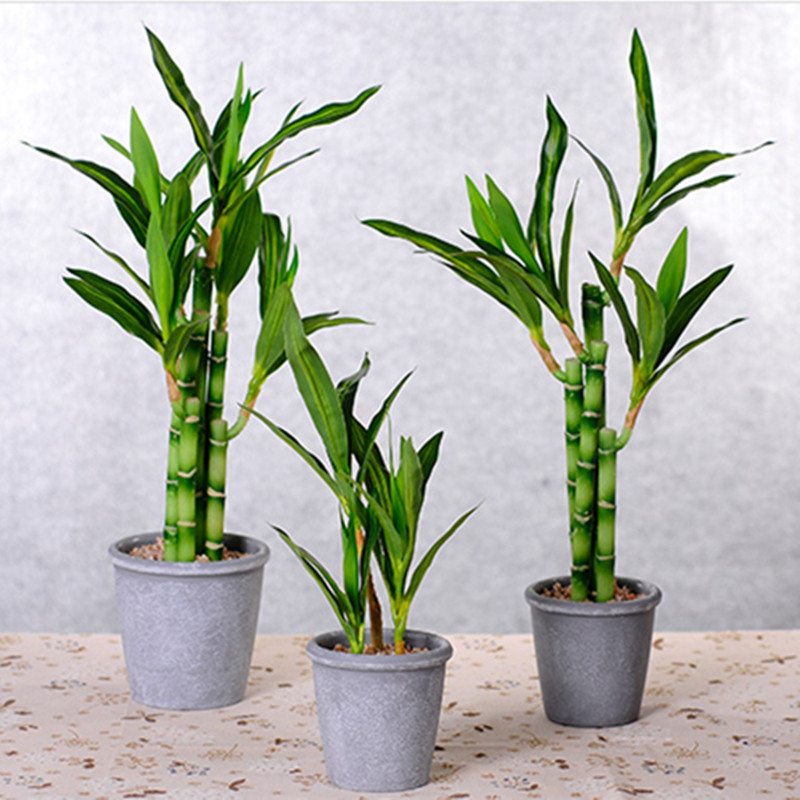 Nova Planta Artificial de Bamb - Aquarium Fish Gallery avaliação e preço