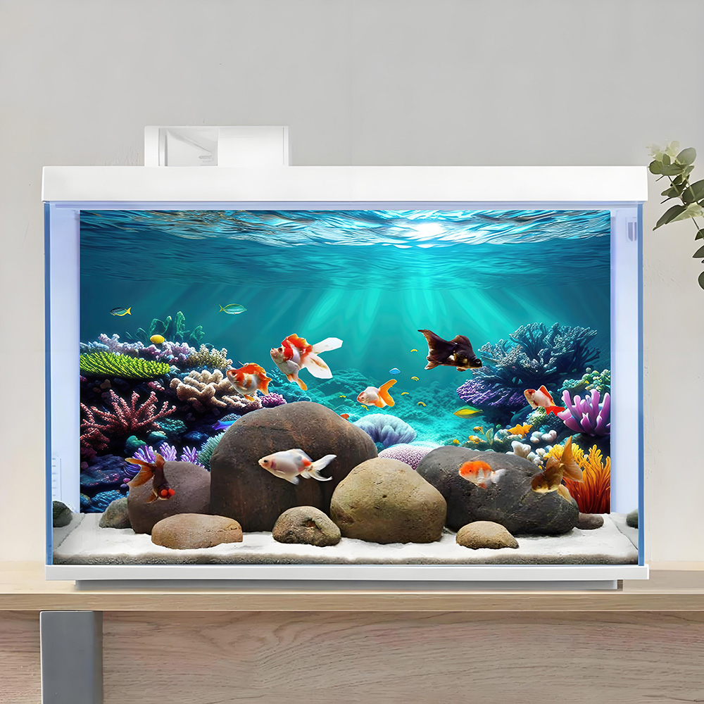 Fundo para aquário, fundo para - Aquarium Fish Rainbow avaliação e preço