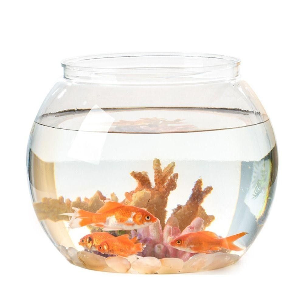 Aquário Transparente Portátil  - Aquarium Fish In Bowl avaliação e preço