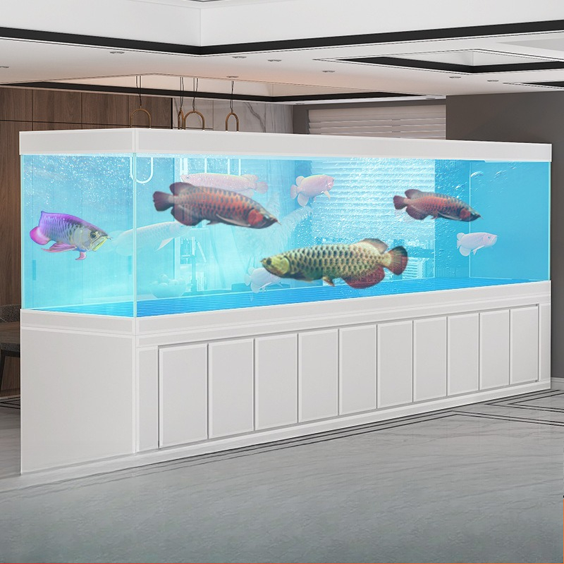 Aquário grande Jinlong para sa - Aquarium Xxl avaliação e preço