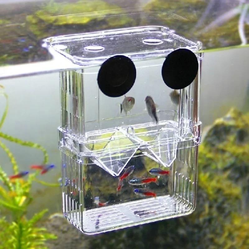 Aquário de peixes transparente - Aquarium Fish In Bowl avaliação e preço