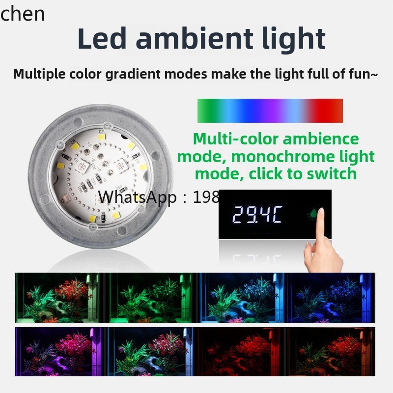 Aquário pequeno de vidro ultra - Aquarium Fish Without Oxygen avaliação e preço