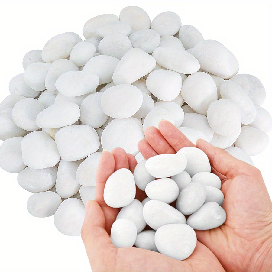 200/400g branco alto polido se - Aquarium Fish Gallery avaliação e preço