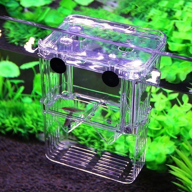Multifuncional aquário de peix - Aquarium Fish In Bowl avaliação e preço
