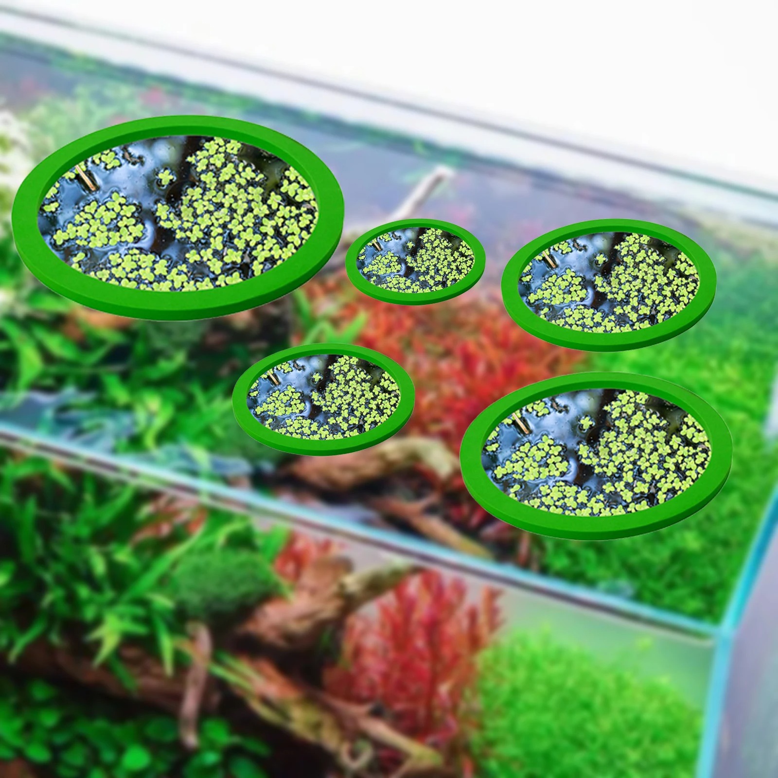 5 pçs eva anel de alimentação  - Aquarium Fish Gallery avaliação e preço