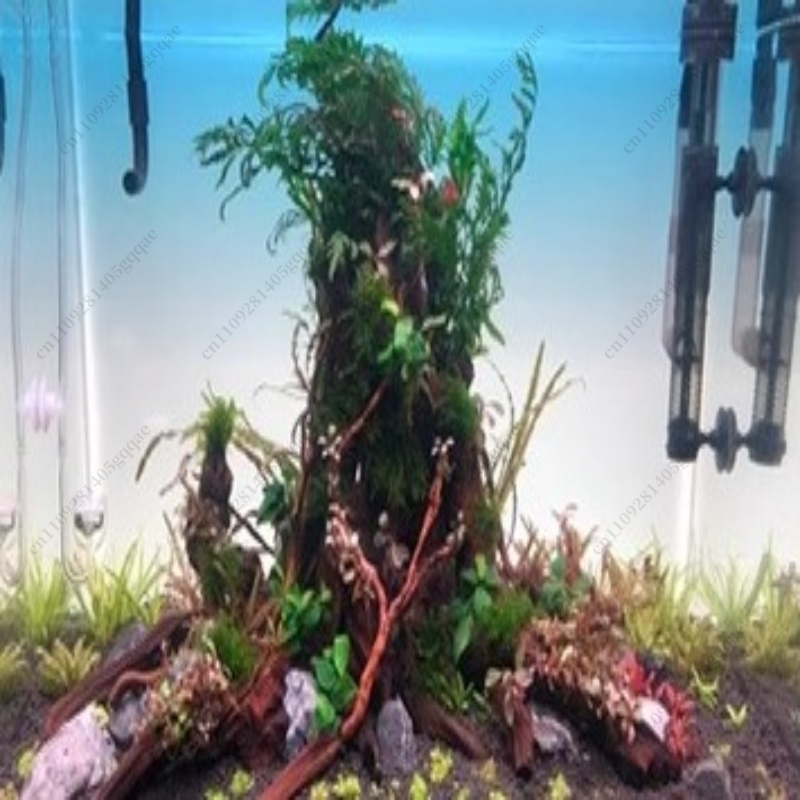Placa de Fundo para Aquário co - Aquarium Fish Rainbow avaliação e preço