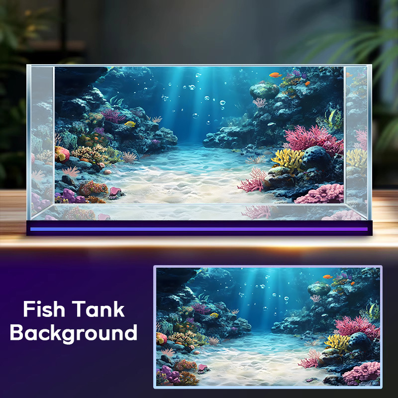 Recife de coral arco-íris, pin - Aquarium Fish Rainbow avaliação e preço