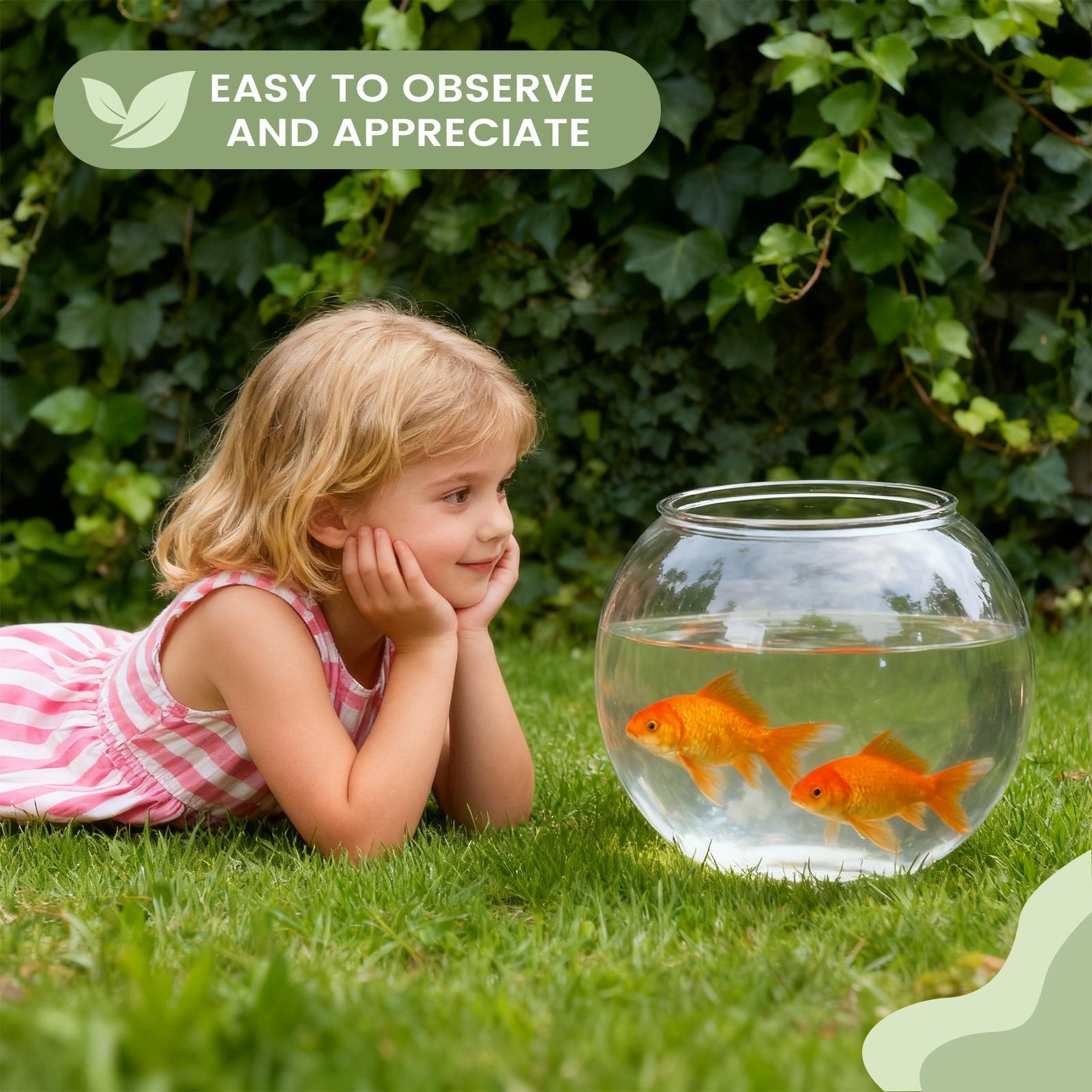 Aquário Pequeno Resistente a Q - Aquarium Fish In Bowl avaliação e preço