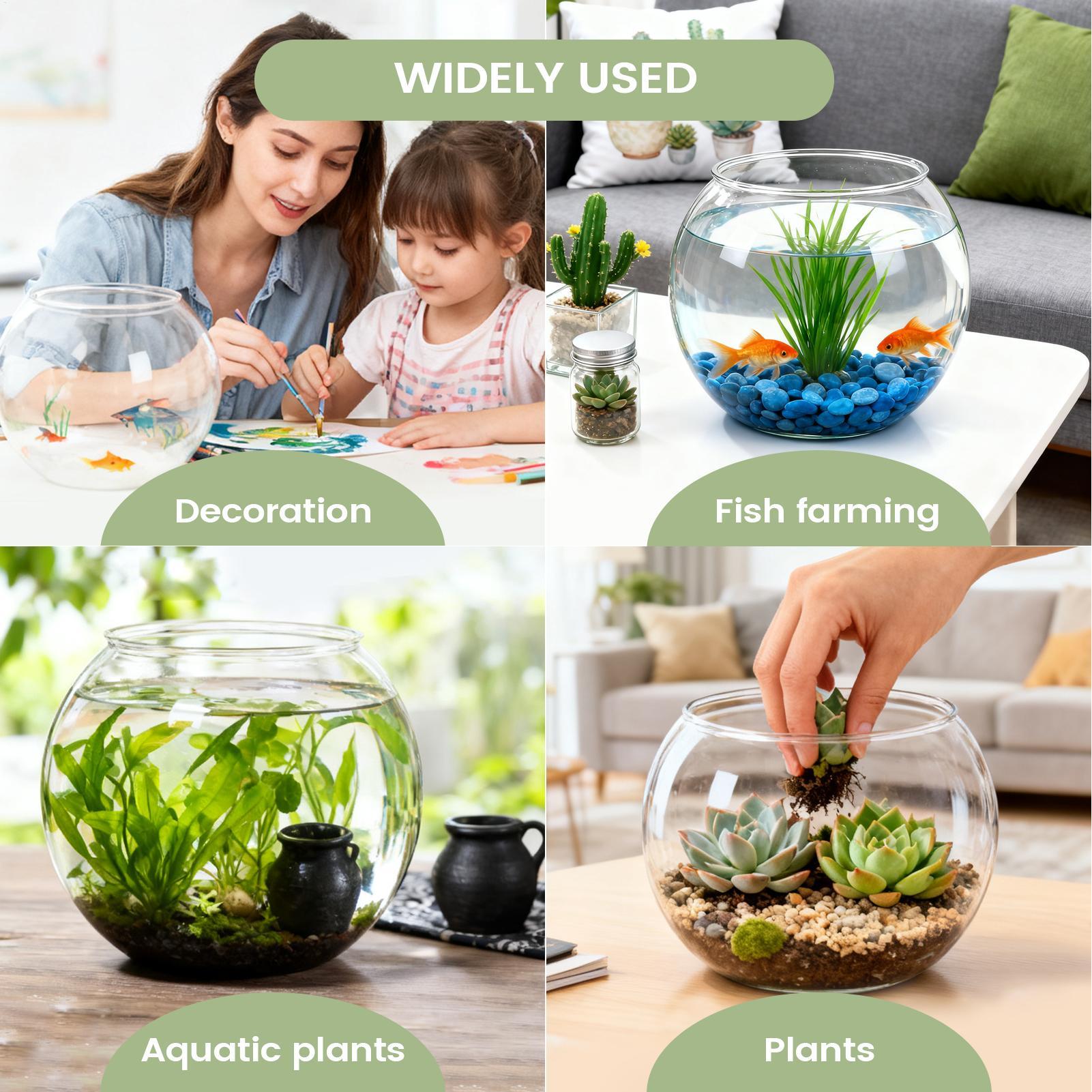 Aquário Pequeno Resistente a Q - Aquarium Fish In Bowl avaliação e preço