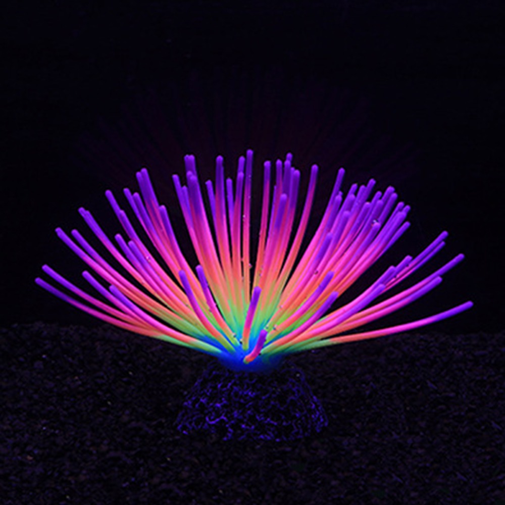 Coral de Silicone Colorido par - Aquarium Fish Rainbow avaliação e preço