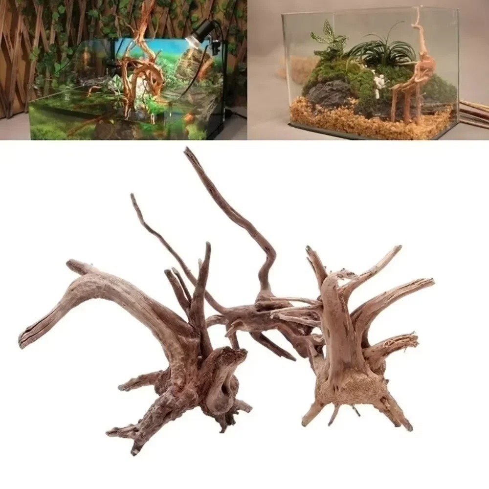 (15-20cm) Decoração de Aquário - Aquarium Fish Gallery avaliação e preço