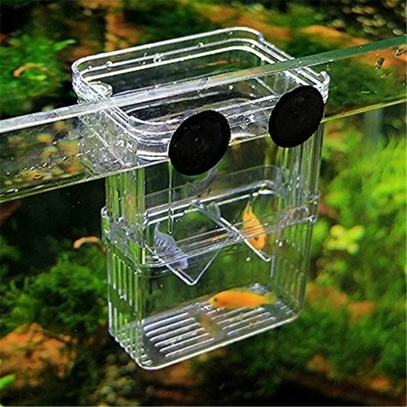 Aquário Multifuncional de Alta - Aquarium Fish In Bowl avaliação e preço