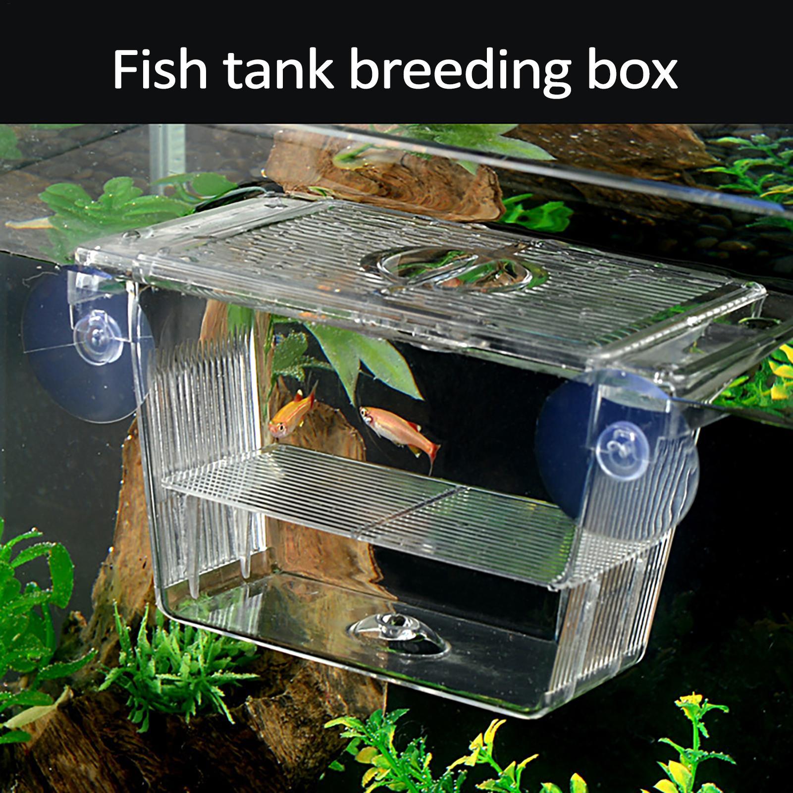 Caixa de Criação para Aquário, - Aquarium Fish In Bowl avaliação e preço