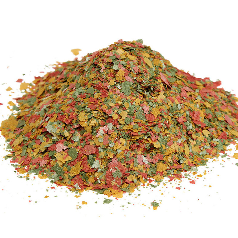 Peixe ornamental fatia fina co - Aquarium Fish Rainbow avaliação e preço