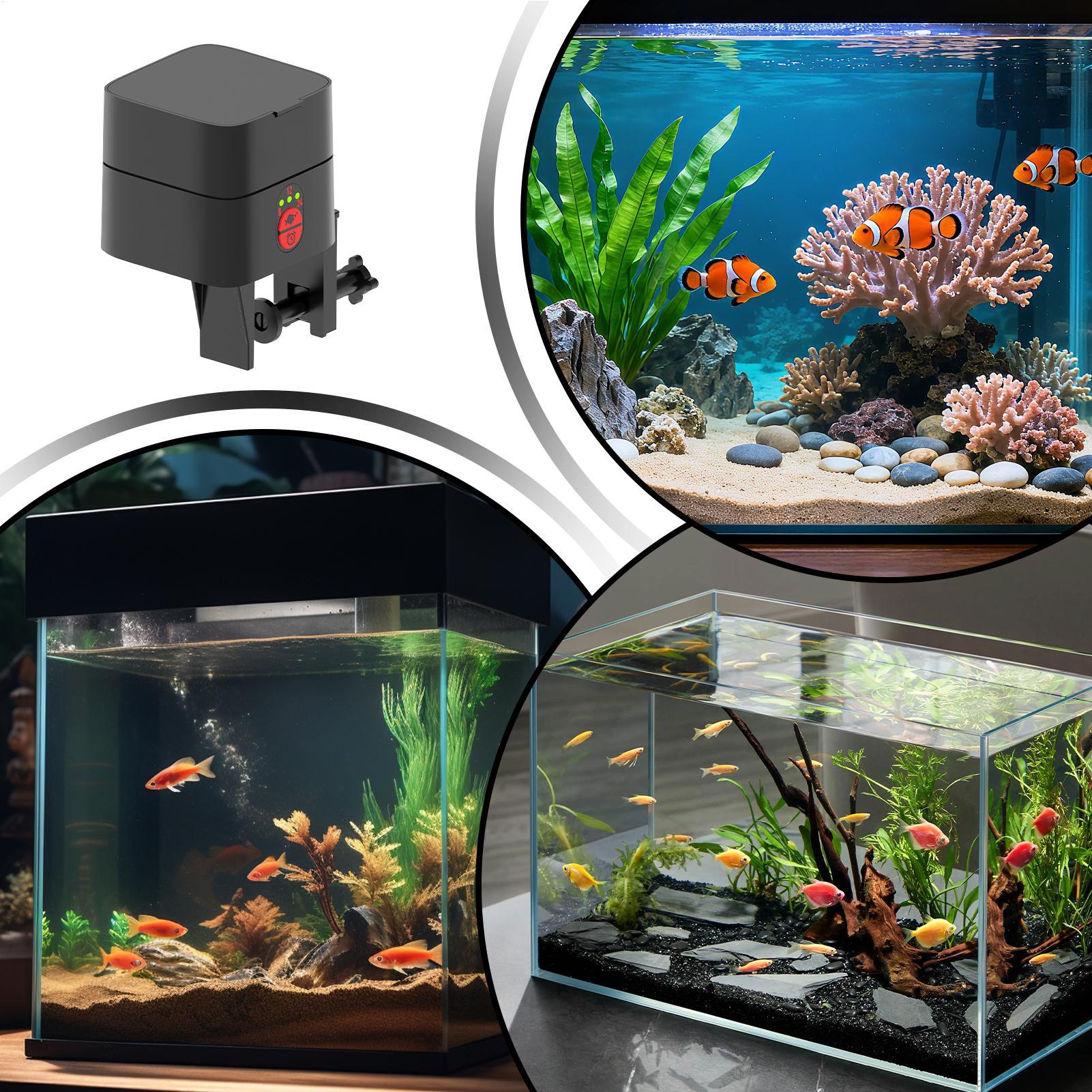 Alimentador automático de peix - Aquarium Fish In Bowl avaliação e preço