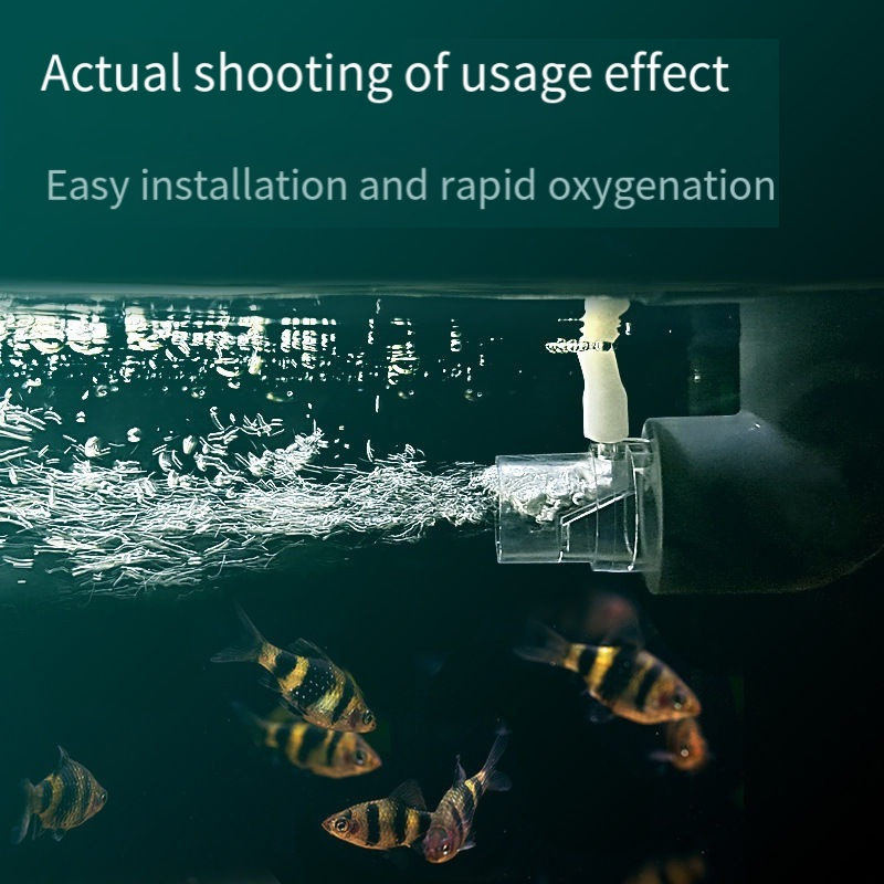 Filtro de tubo difusor de oxig - Aquarium Fish Without Oxygen avaliação e preço