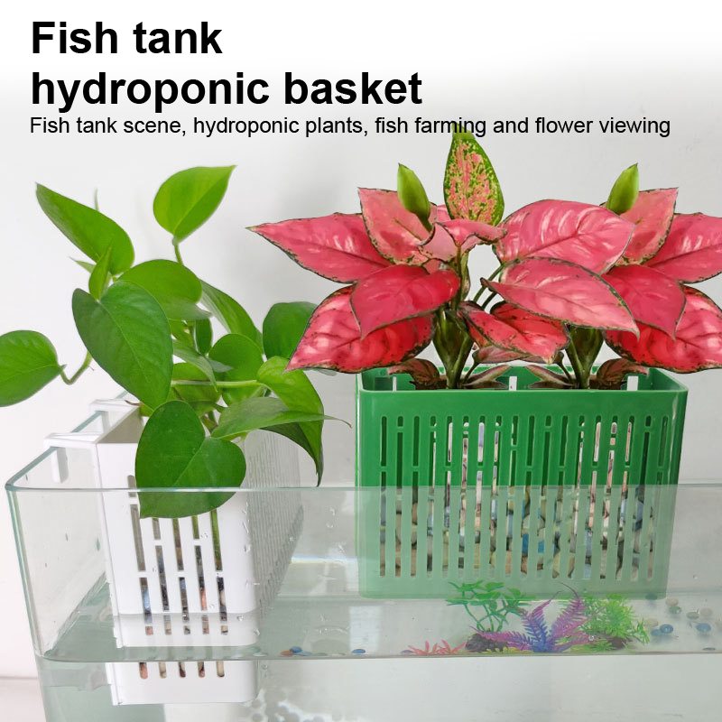 【F】Suporte Suspenso para Plant - Aquarium Fish Gallery avaliação e preço