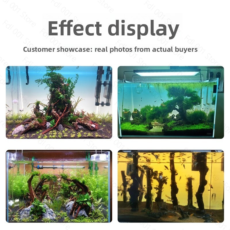 Placa de Fundo para Aquário co - Aquarium Fish Rainbow avaliação e preço